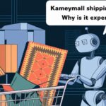 Kameymall Shipping Costs: Why Is It Expensive?